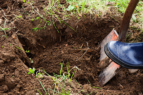 A shovel going into the ground